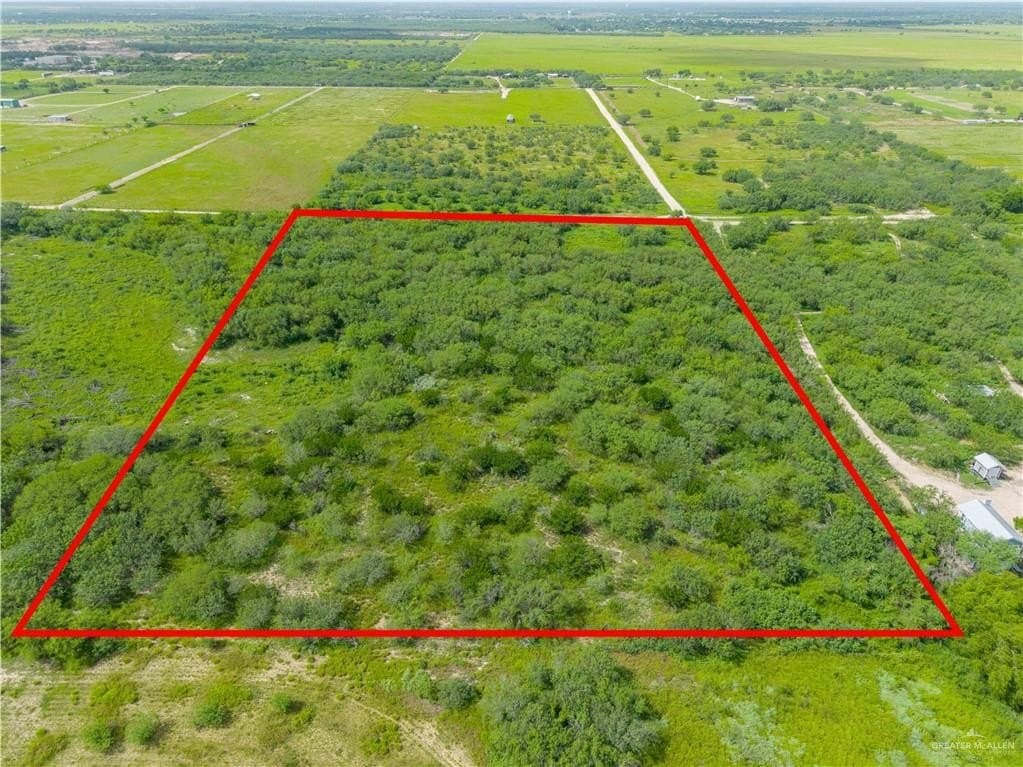 9.99 acres in Hidalgo County gallery image 4