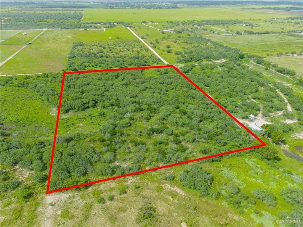 9.99 acres in Hidalgo County gallery image 3