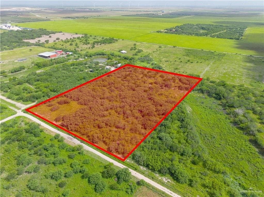 9.99 acres in Hidalgo County gallery image 2