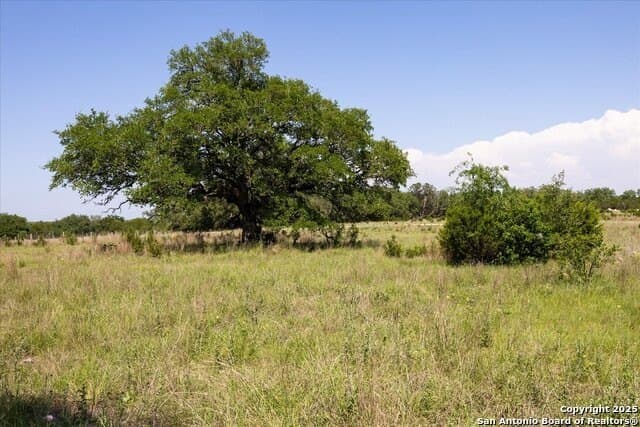 12.98 acres in Comal County gallery image 2