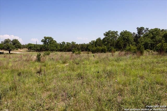 12.98 acres in Comal County gallery image 4