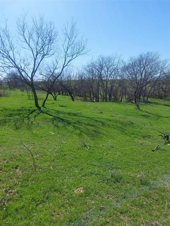 10.51 acres in Hill County gallery image 2