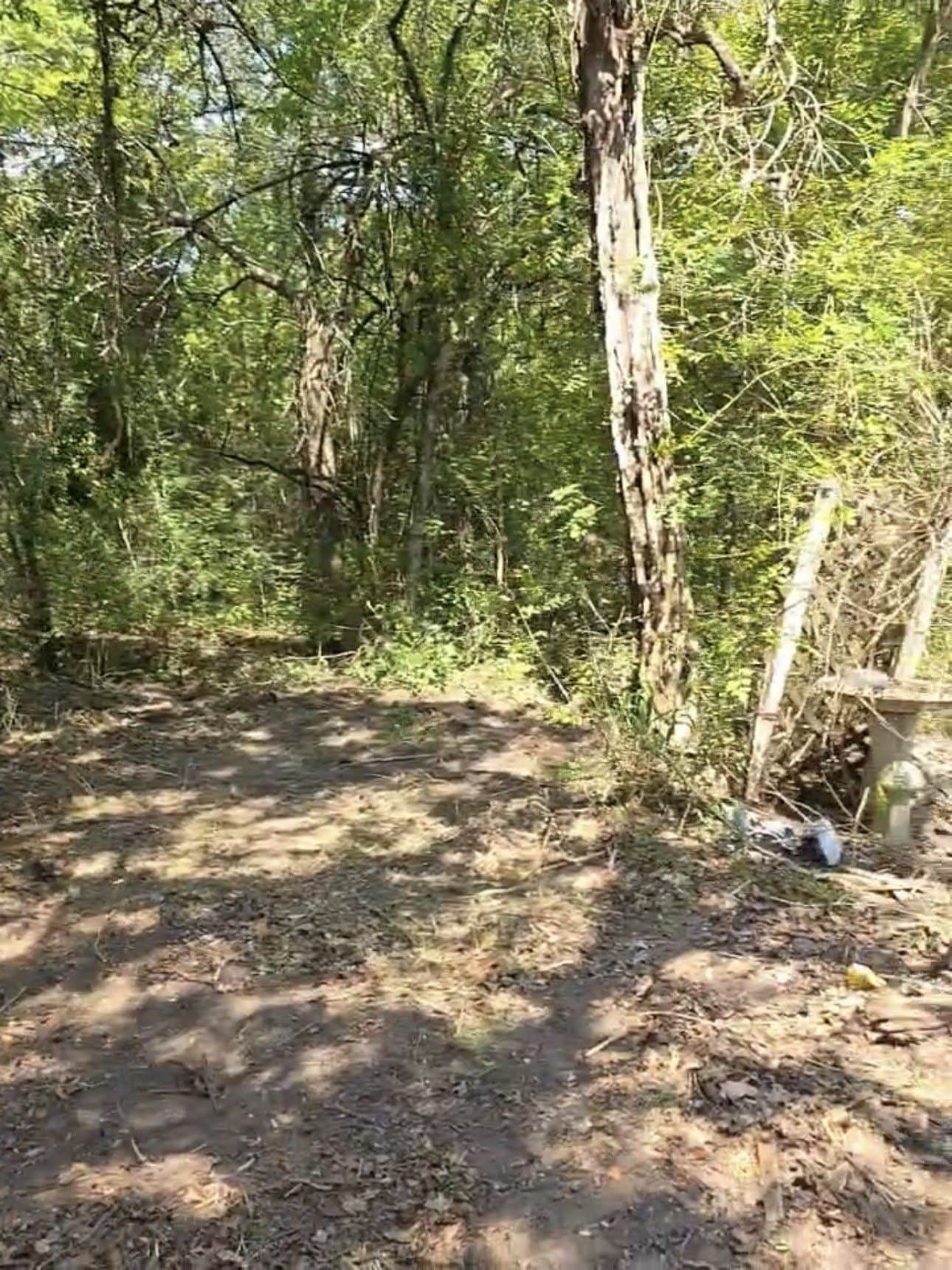 1.26 acres in Johnson County - photo 2