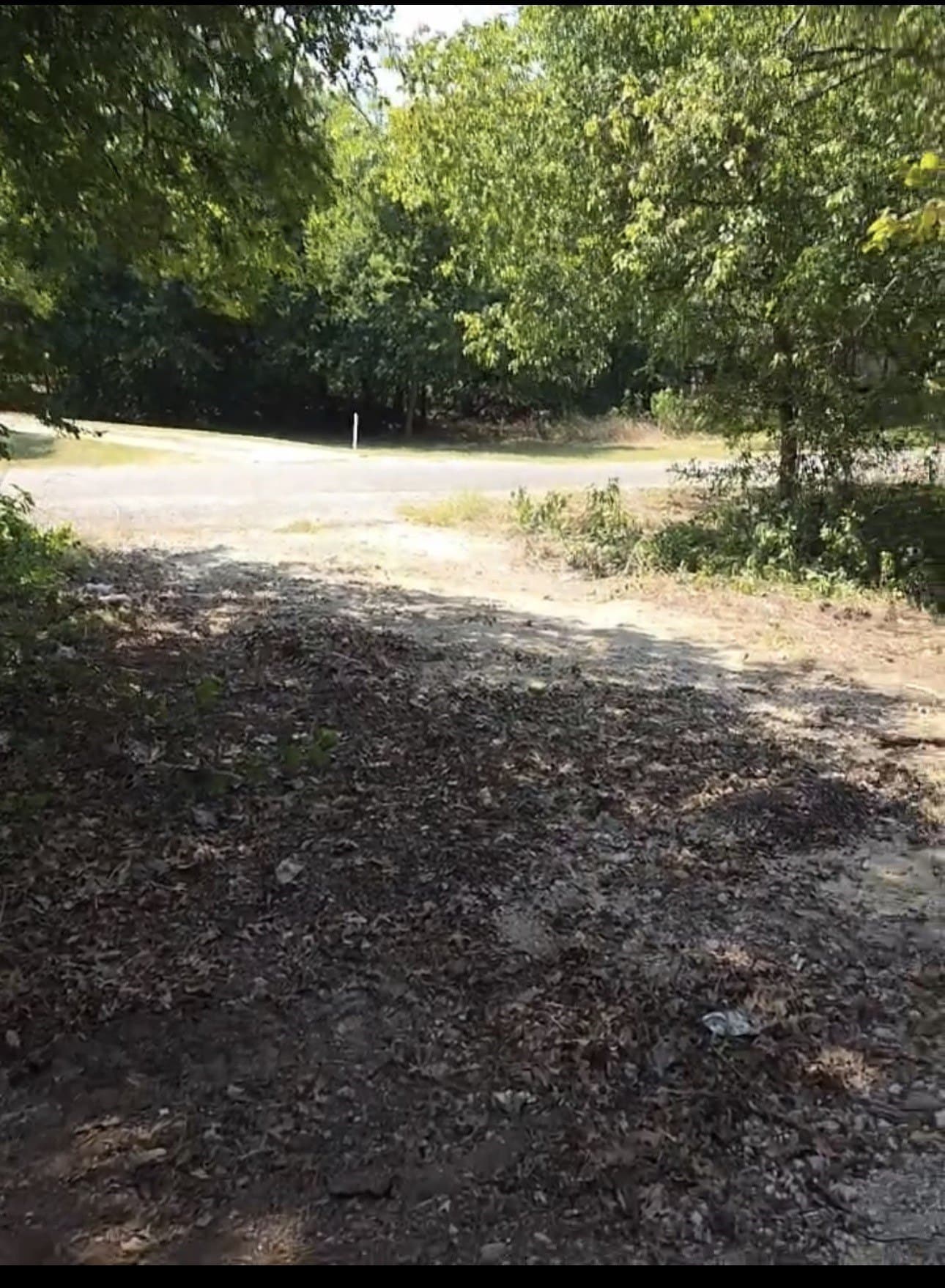 1.26 acres in Johnson County - photo 3