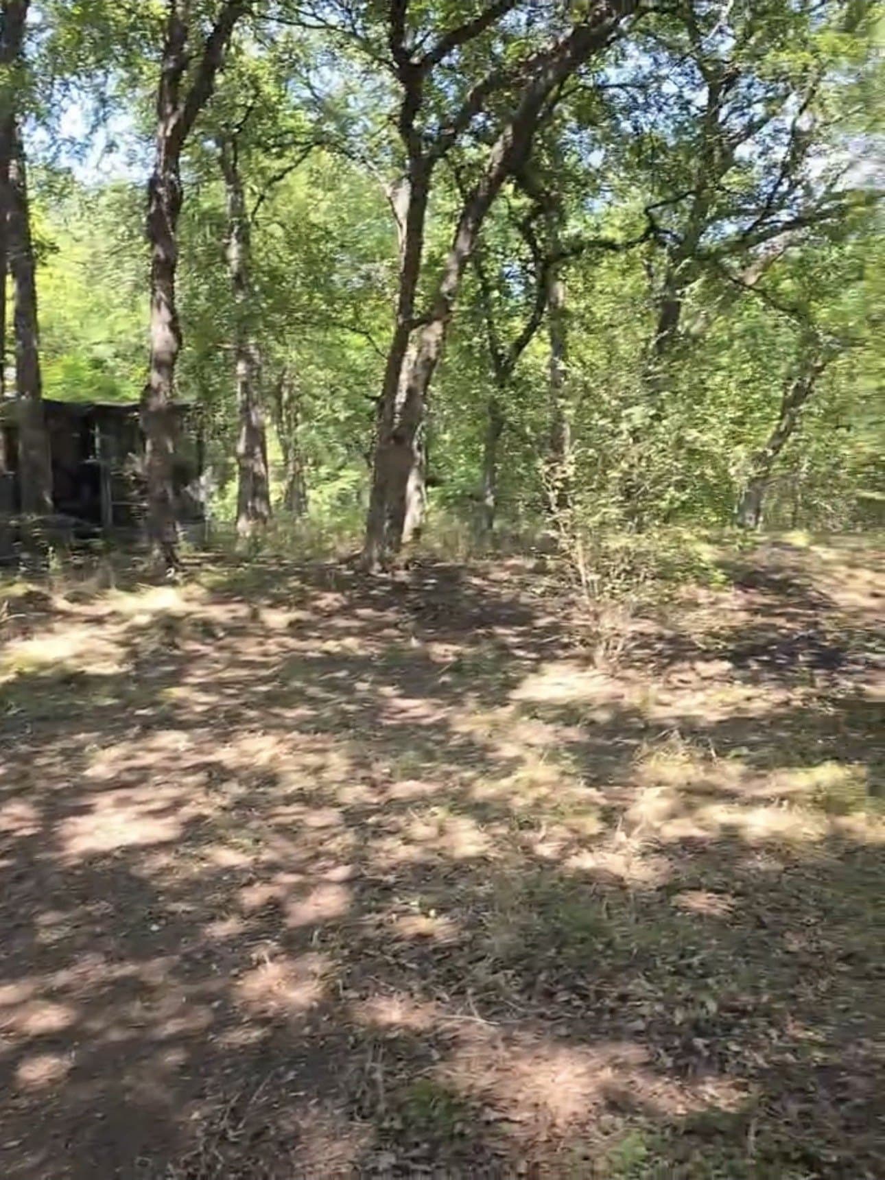 1.26 acres in Johnson County - photo 4