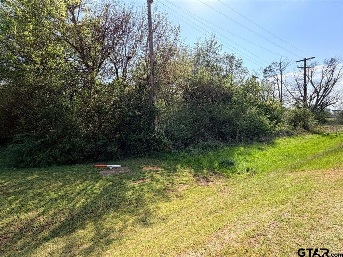 2.03 acres in Smith County - photo 6