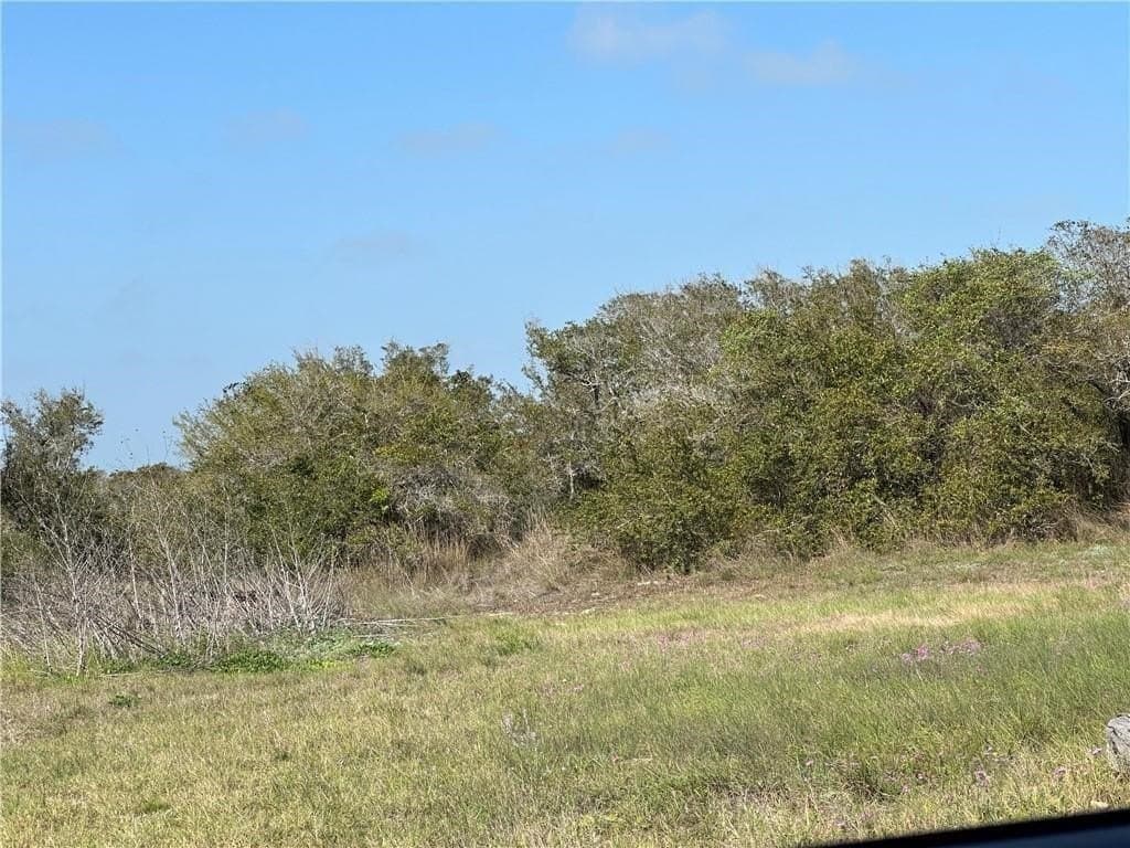 0.11 acres in San Patricio County - photo 7