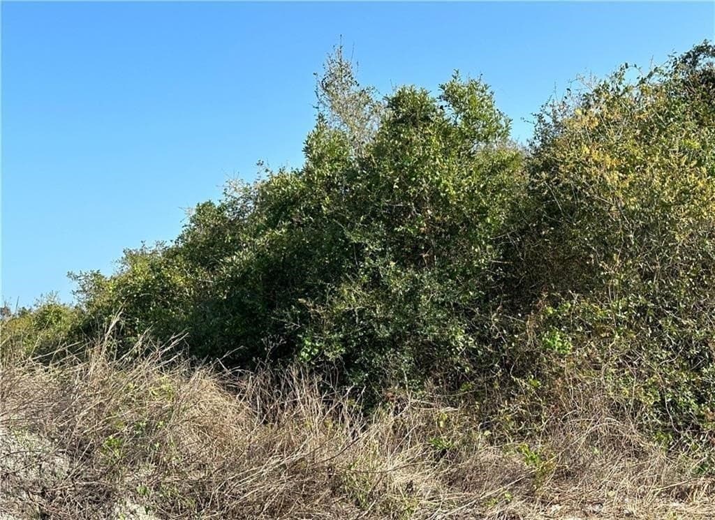 0.11 acres in San Patricio County - photo 6