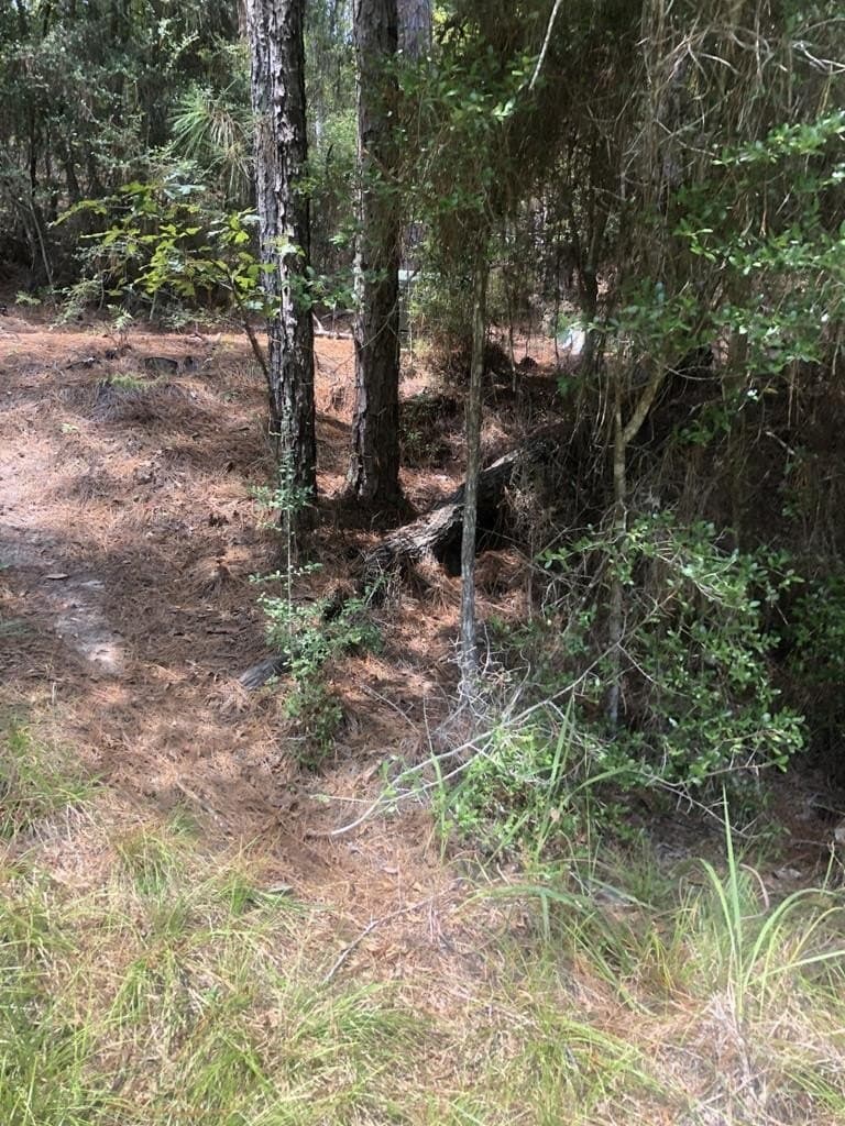 0.8 acres in Texas County