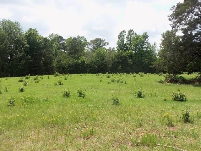20.6 acres in Rusk County gallery image 4