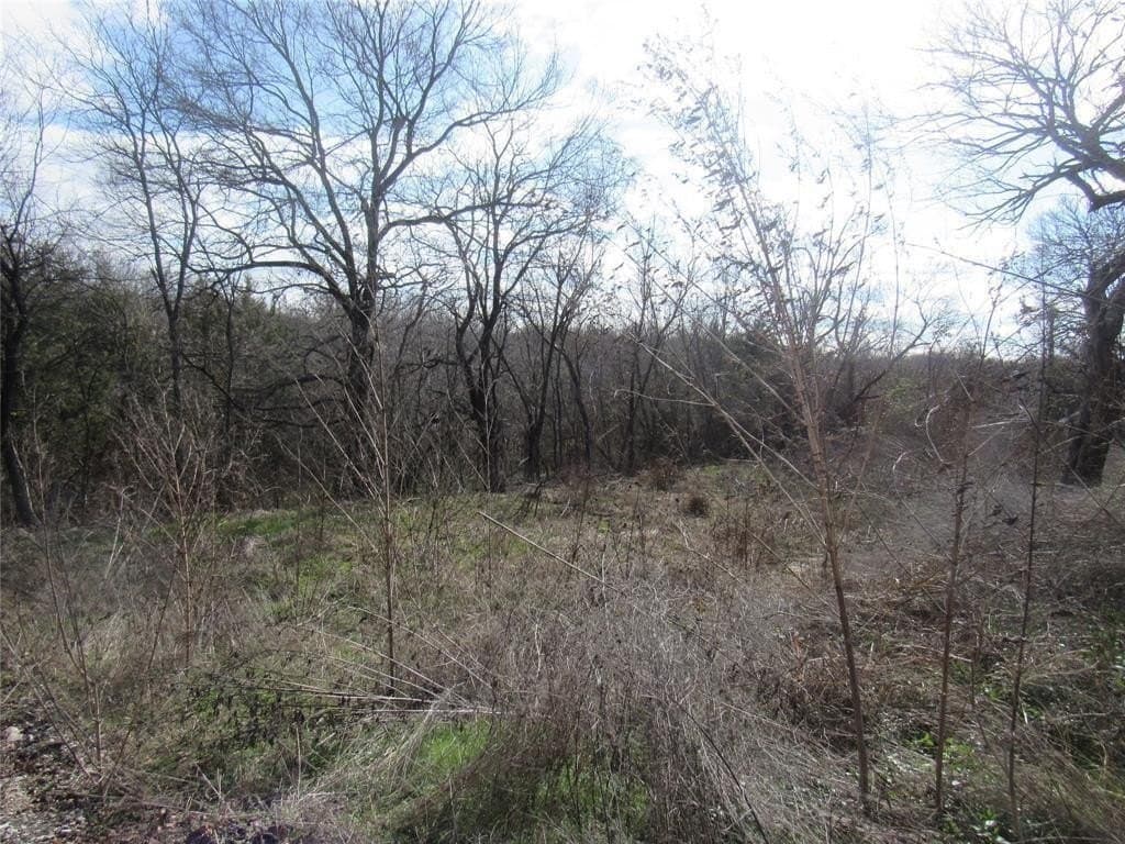 0.17 acres in Grayson County
