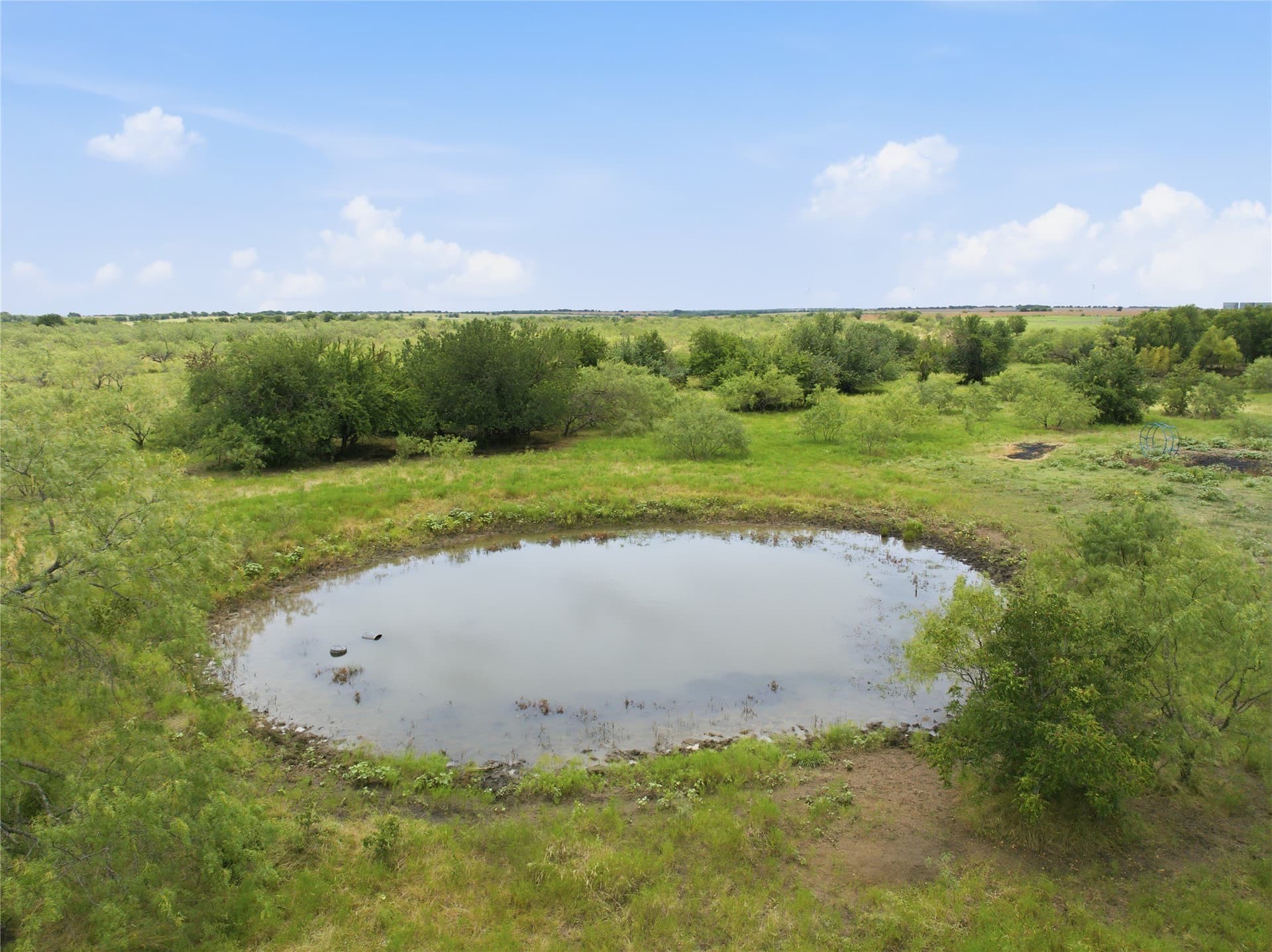 100.5 acres in Limestone County - photo 10