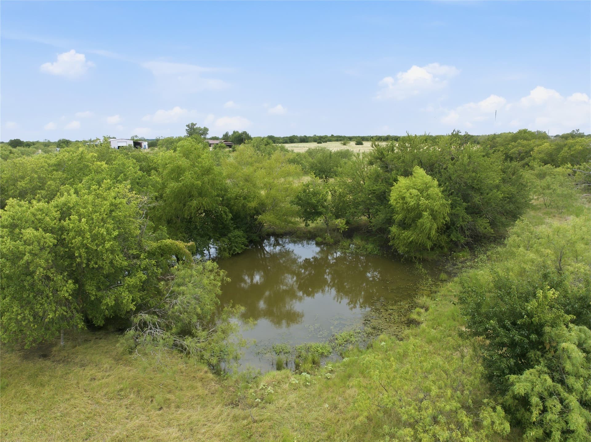 100.5 acres in Limestone County - photo 20