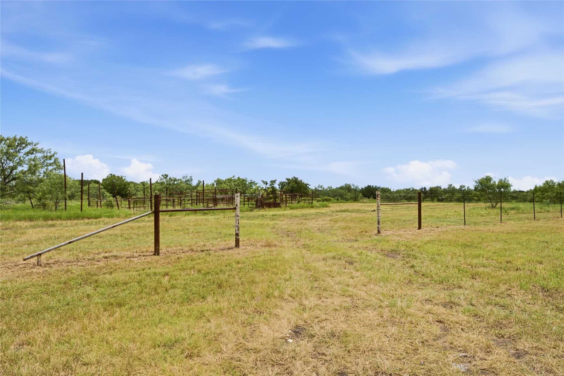 100.5 acres in Limestone County - photo 7