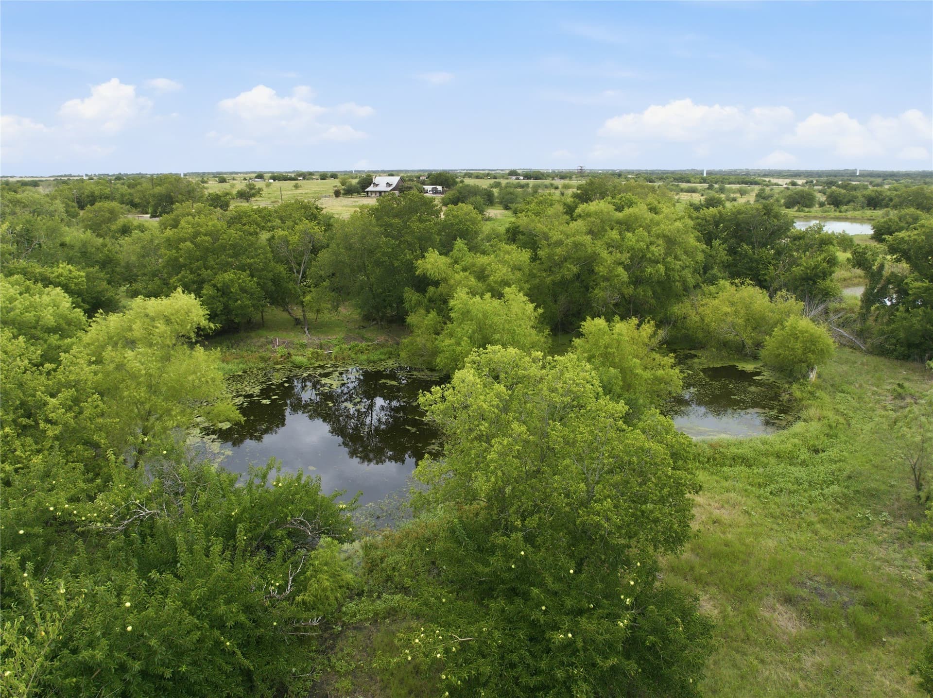 100.5 acres in Limestone County - photo 22