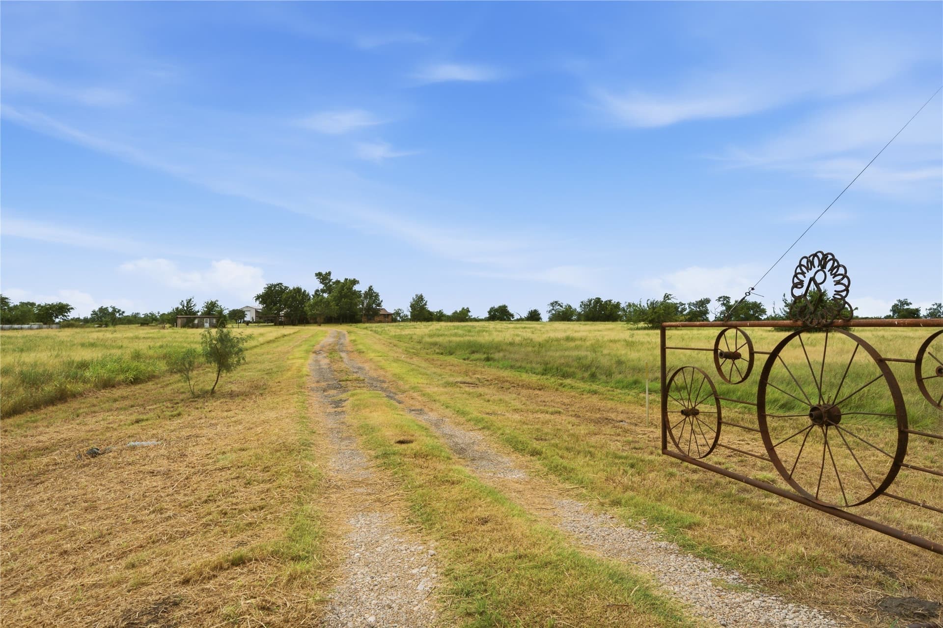100.5 acres in Limestone County - photo 9