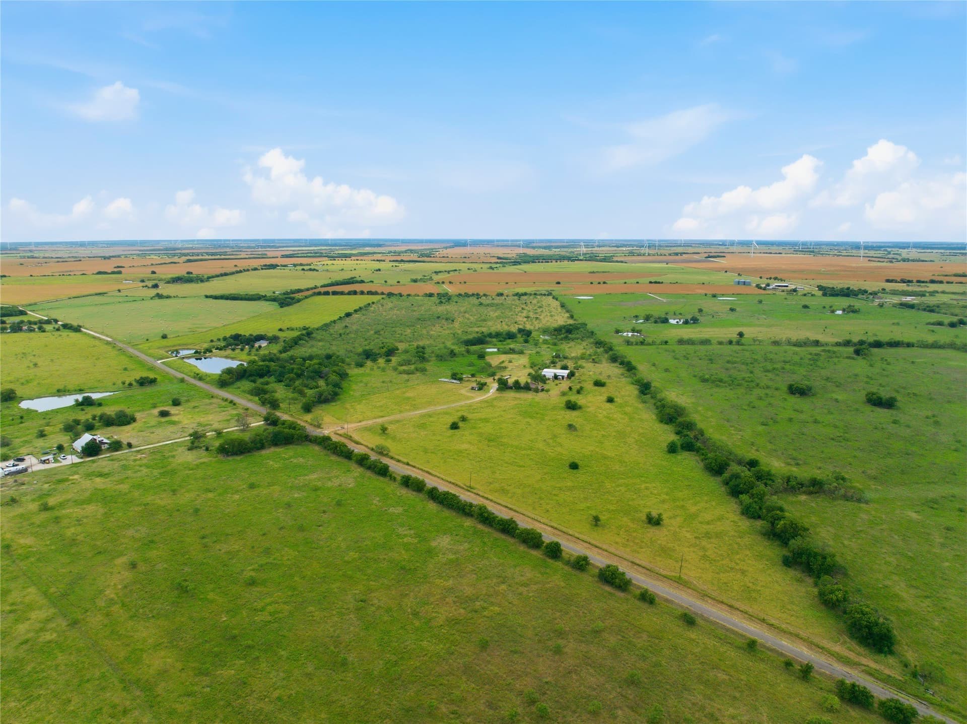 100.5 acres in Limestone County - photo 28