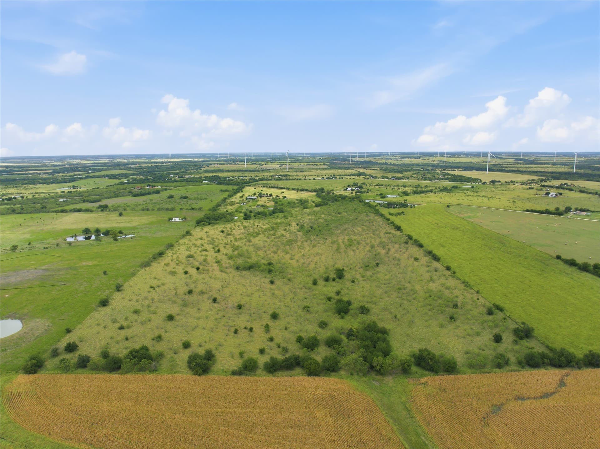 100.5 acres in Limestone County - photo 25