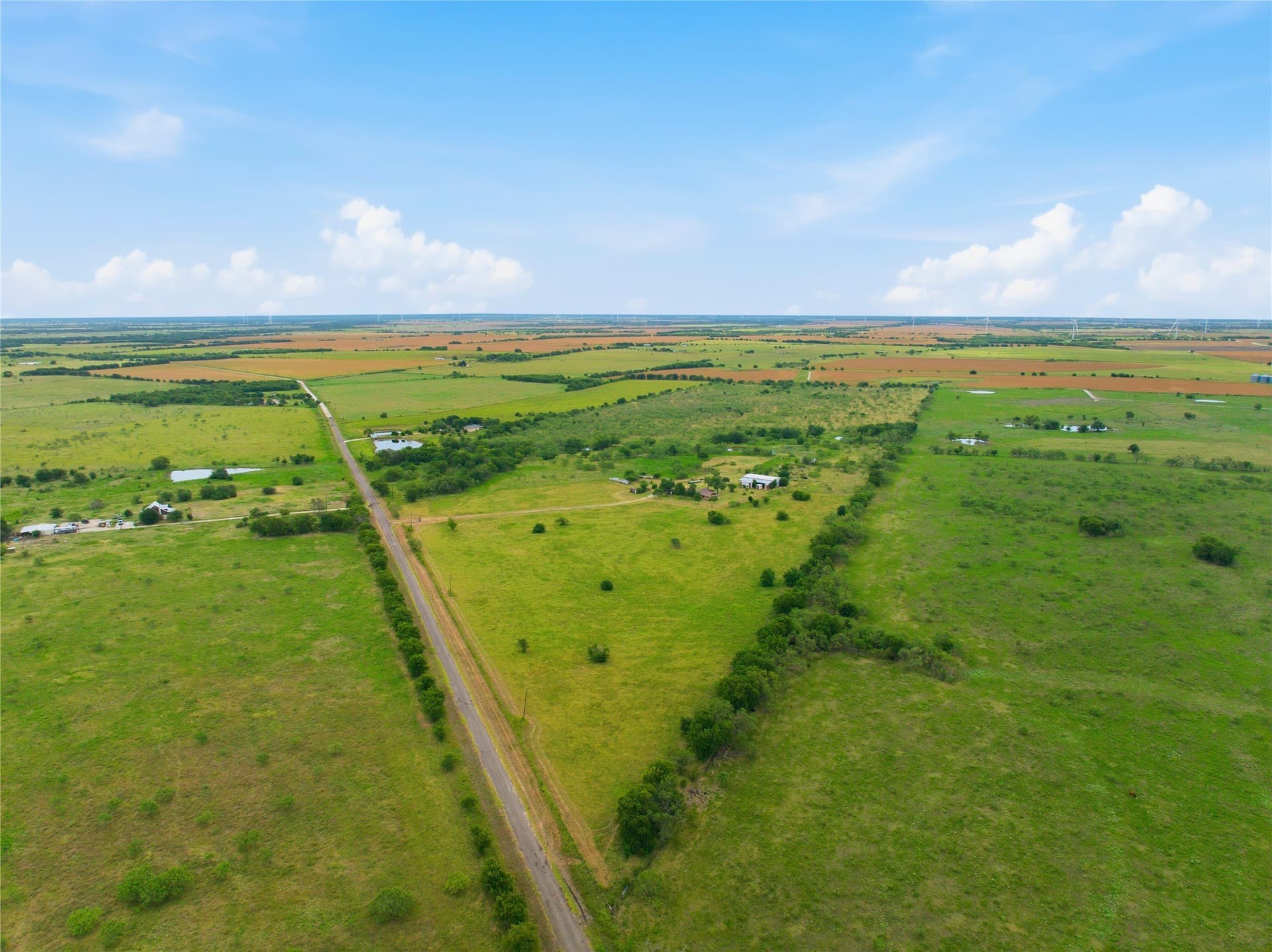 100.5 acres in Limestone County - photo 27