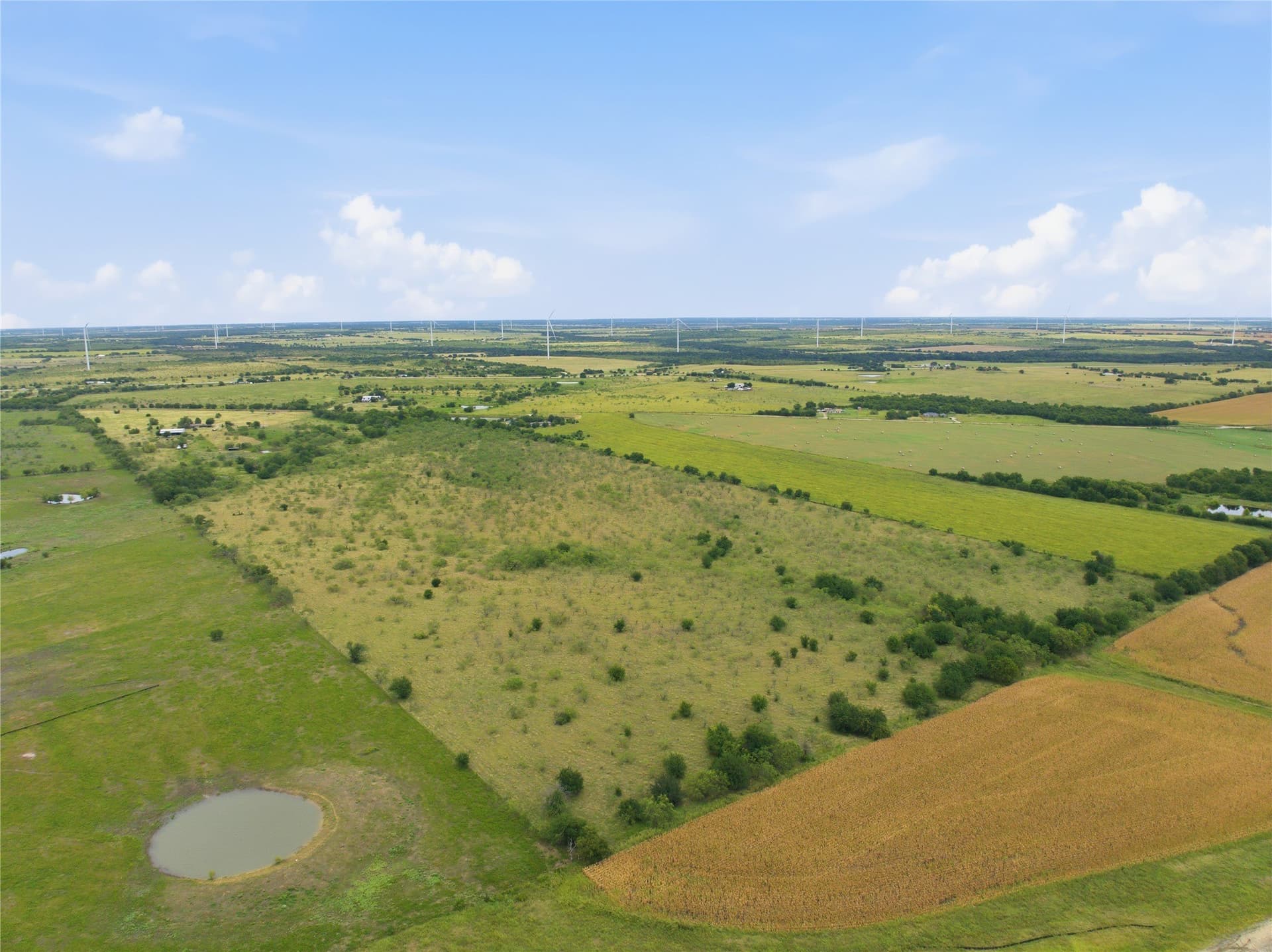 100.5 acres in Limestone County - photo 24