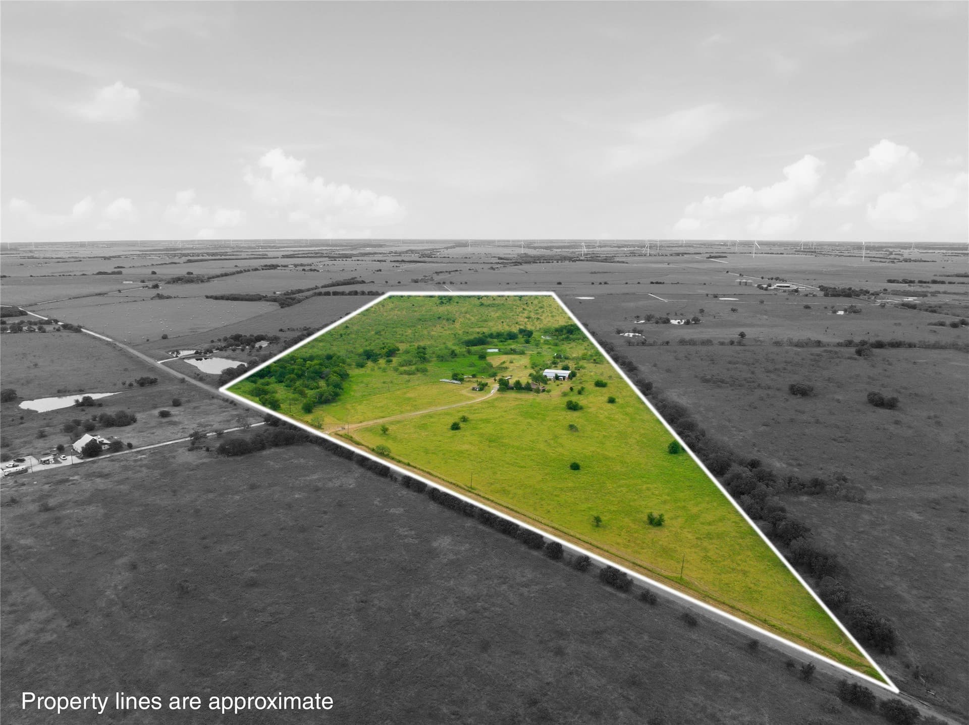 100.5 acres in Limestone County - photo 30