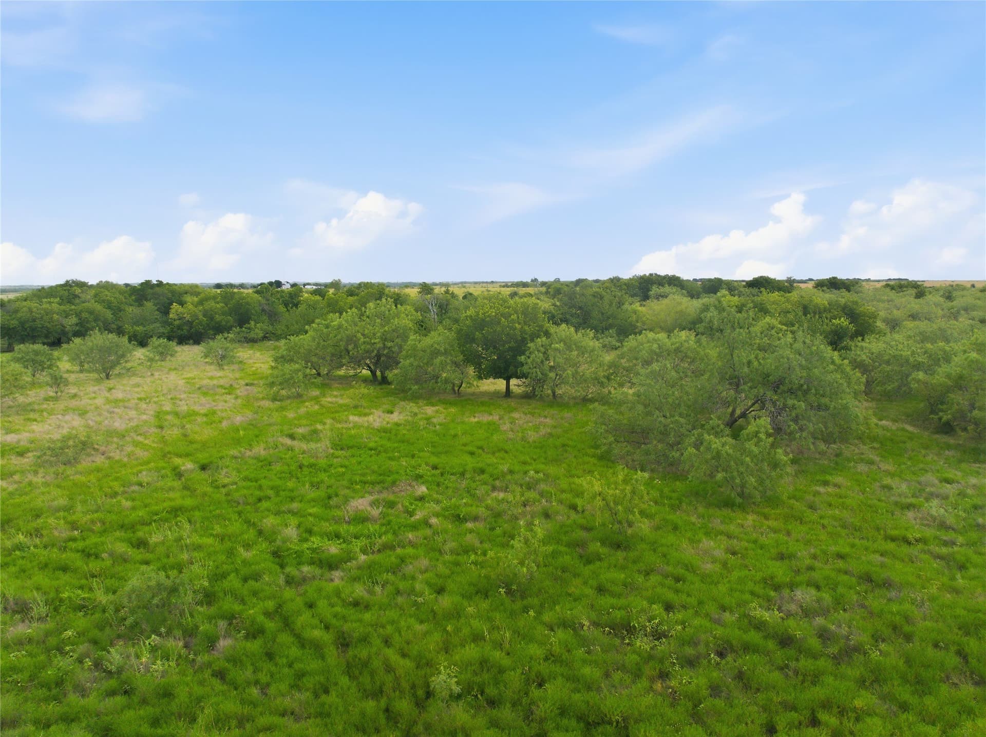 100.5 acres in Limestone County - photo 18