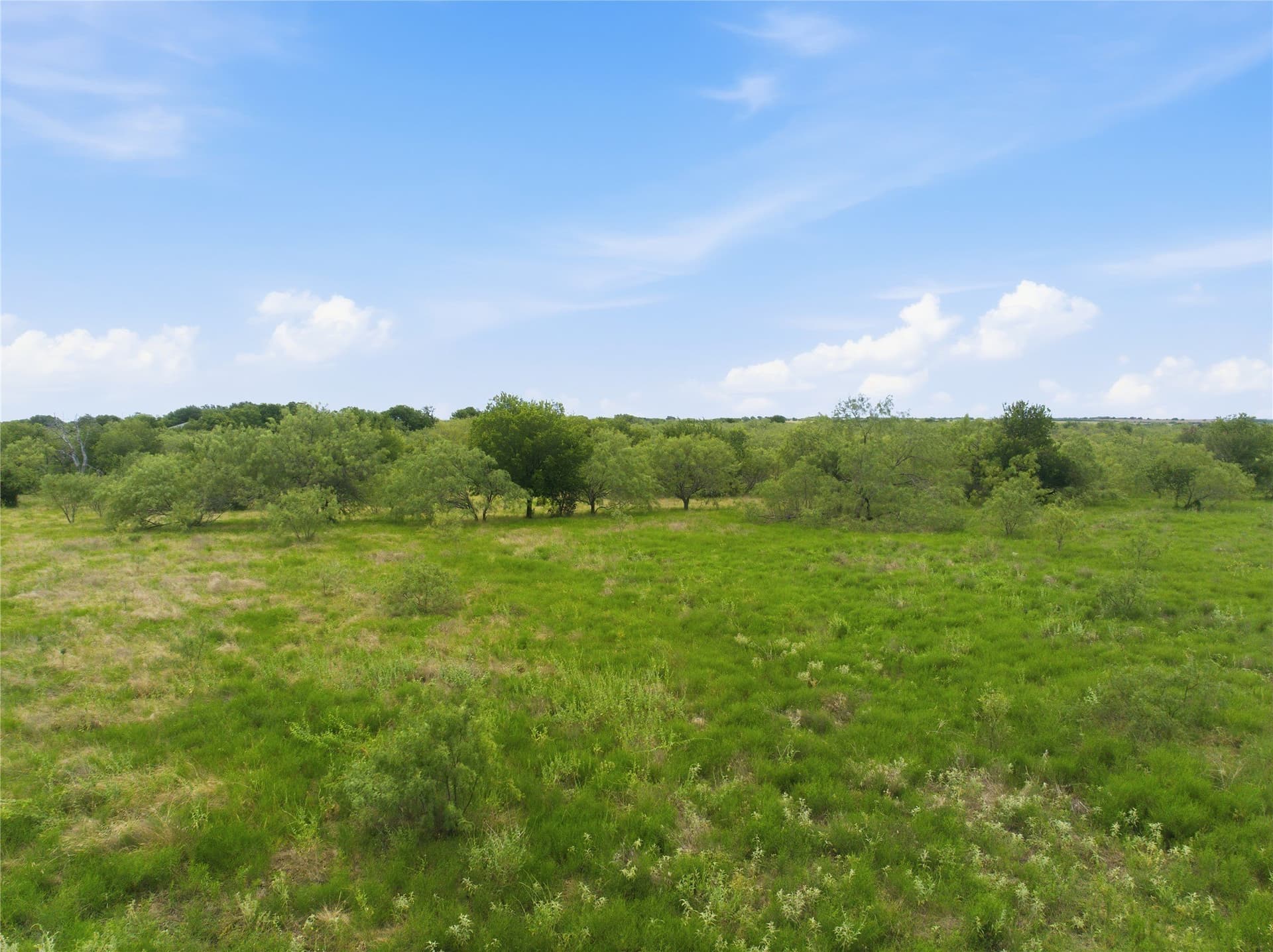 100.5 acres in Limestone County - photo 21