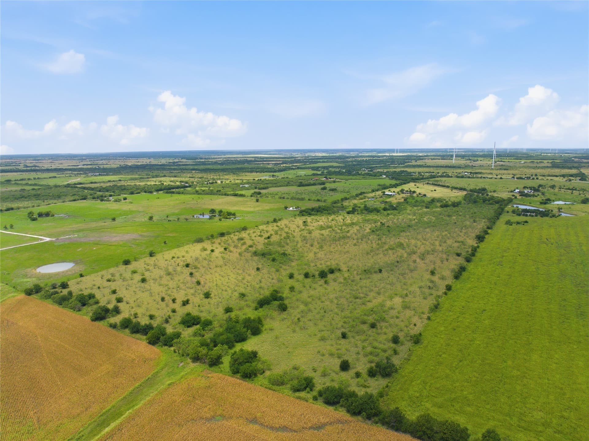 100.5 acres in Limestone County - photo 26