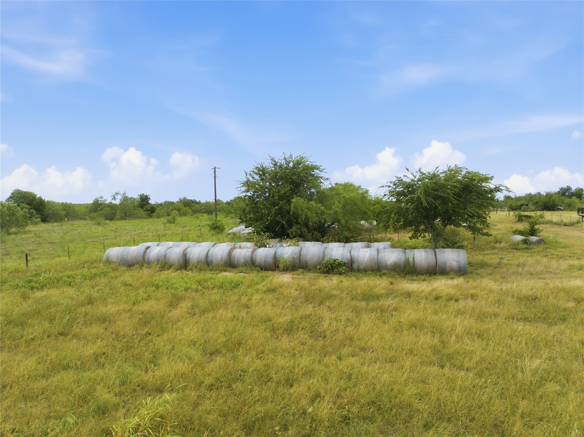100.5 acres in Limestone County - photo 16