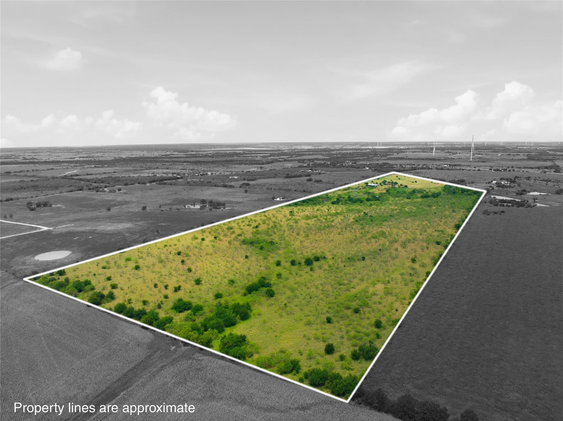 100.5 acres in Limestone County - photo 29