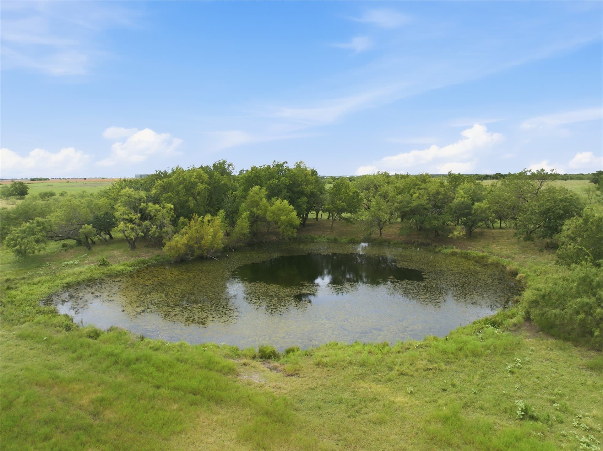100.5 acres in Limestone County - photo 19