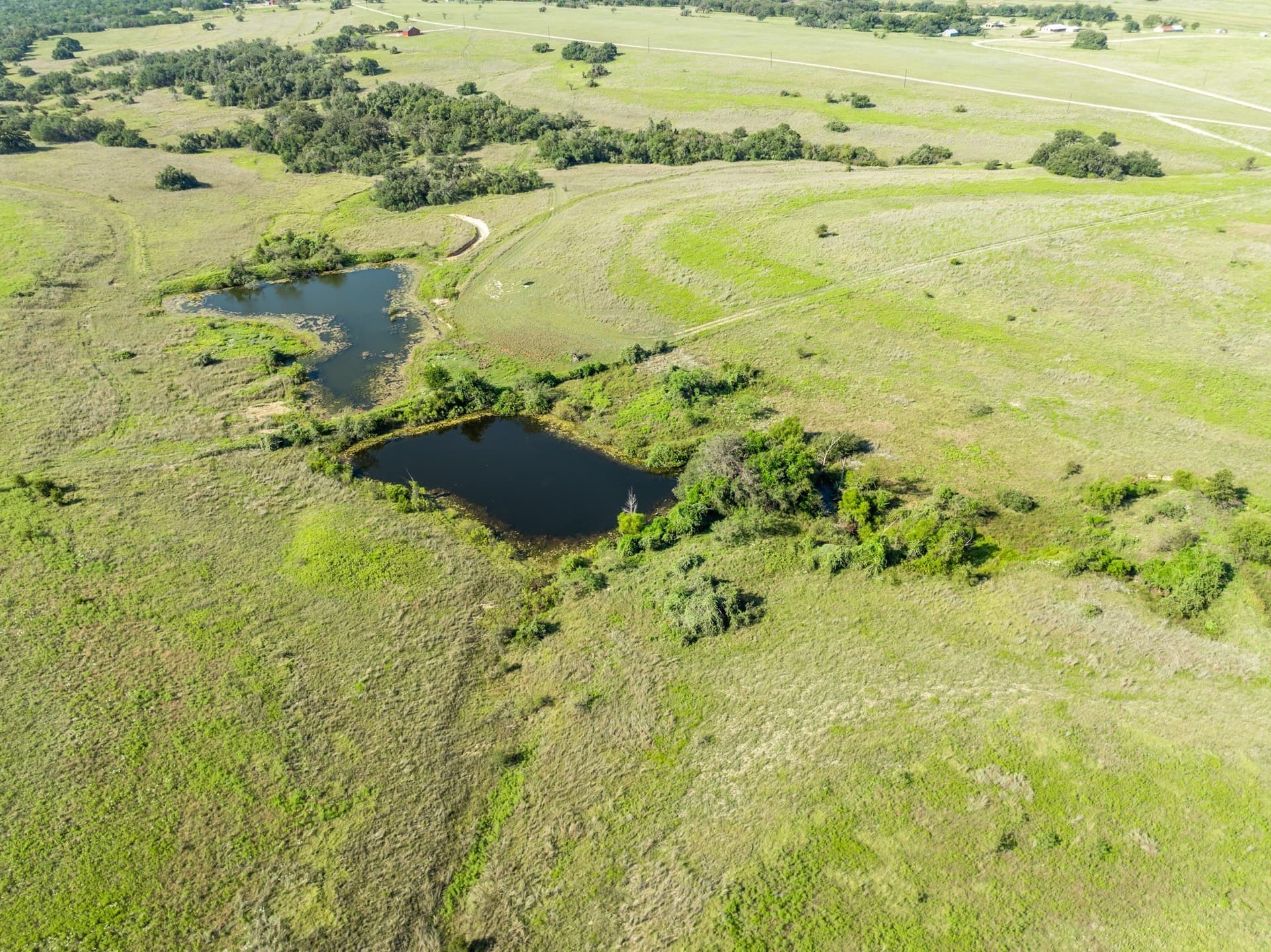 617.69 acres in Coryell County - photo 18