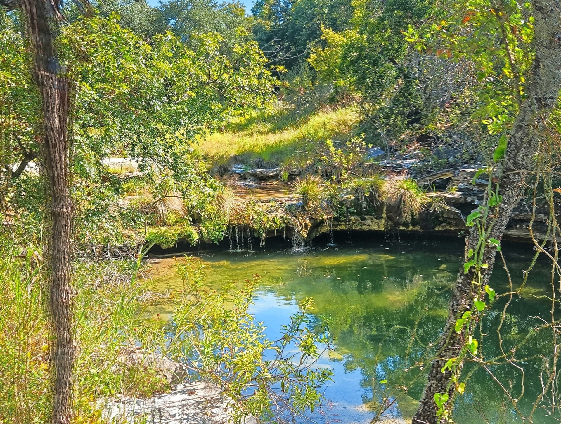 617.69 acres in Coryell County - photo 38