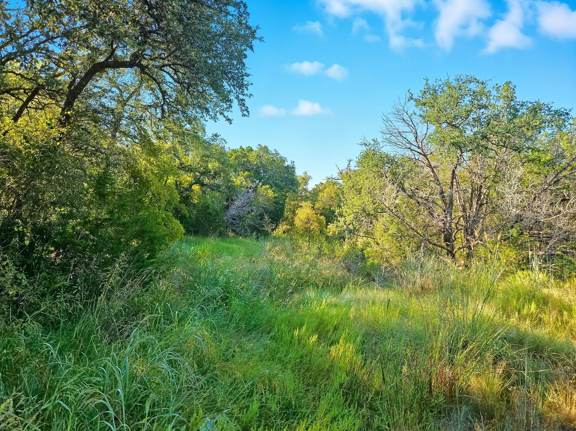 617.69 acres in Coryell County - photo 22
