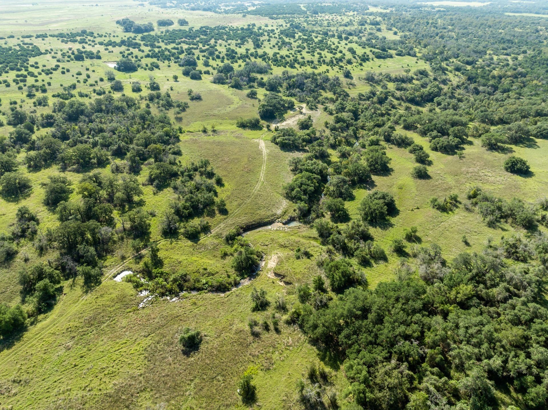617.69 acres in Coryell County - photo 19