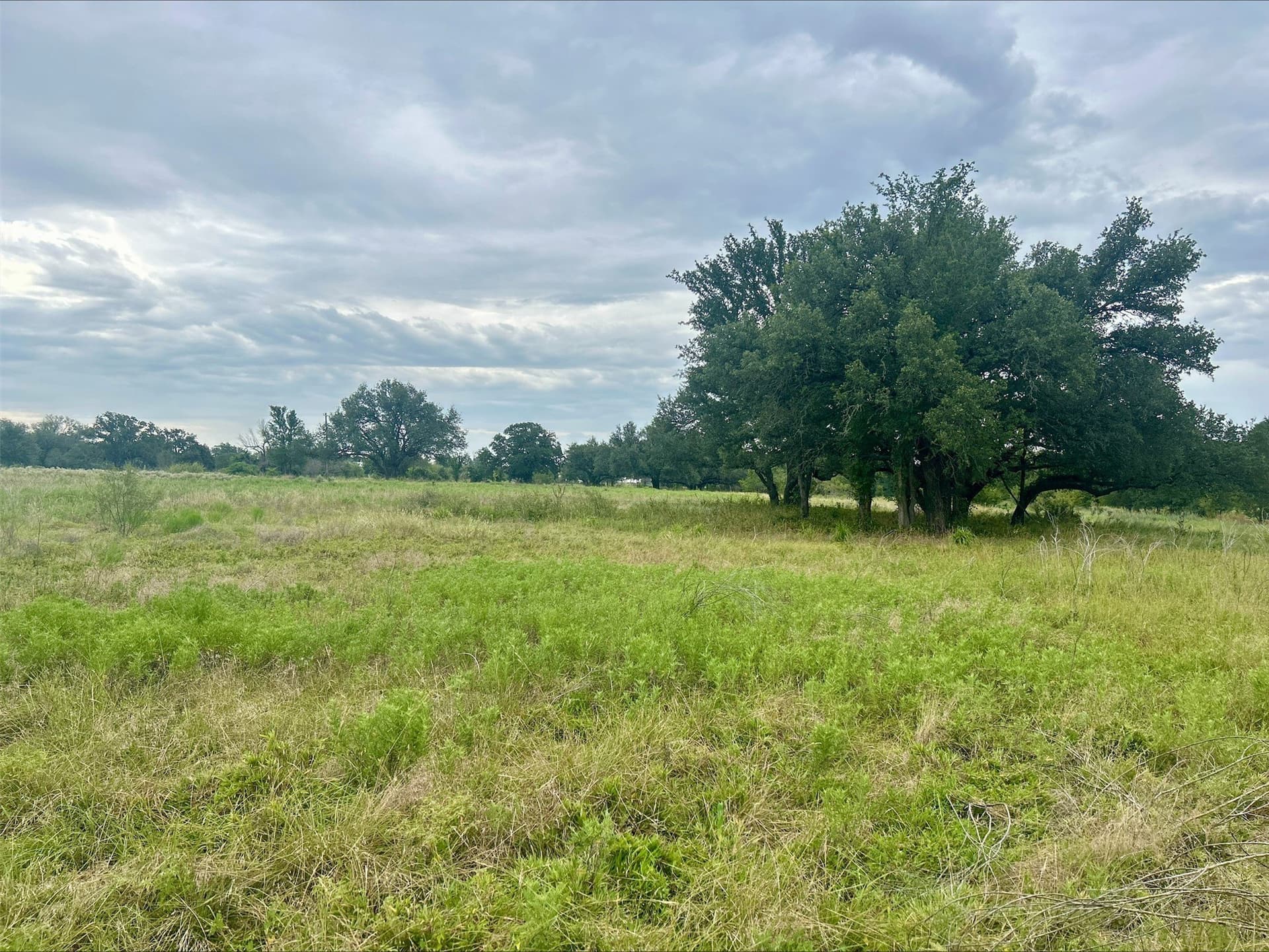 6.16 acres in Erath County - photo 12
