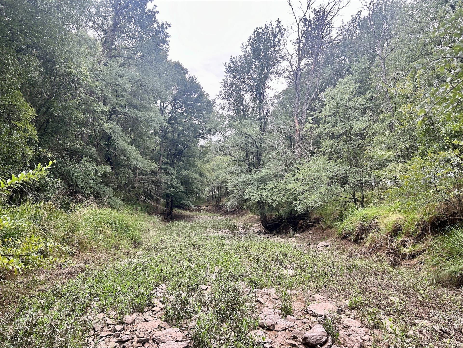 6.16 acres in Erath County - photo 15