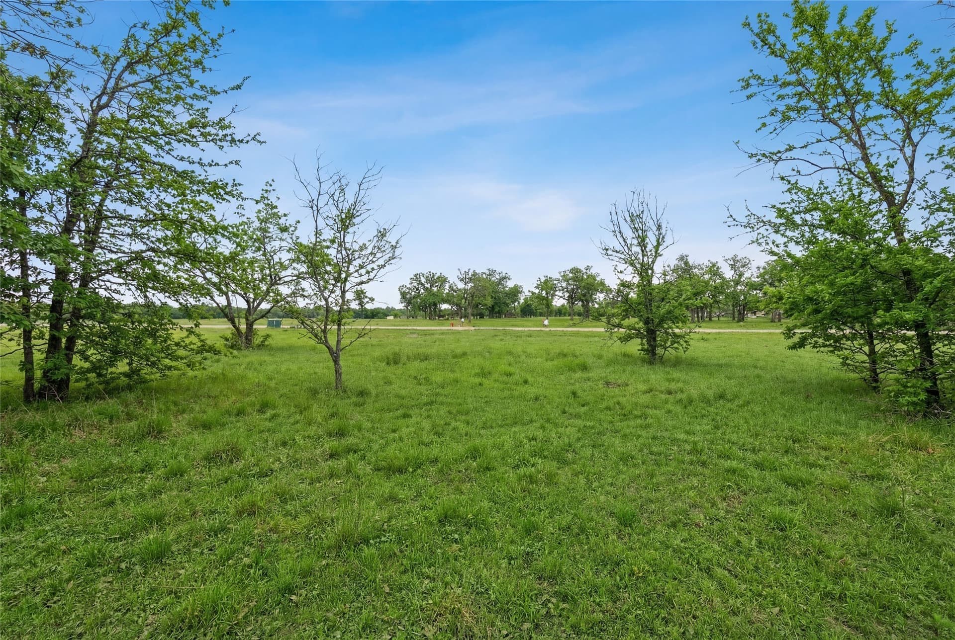 1 acres in Denton County - photo 7