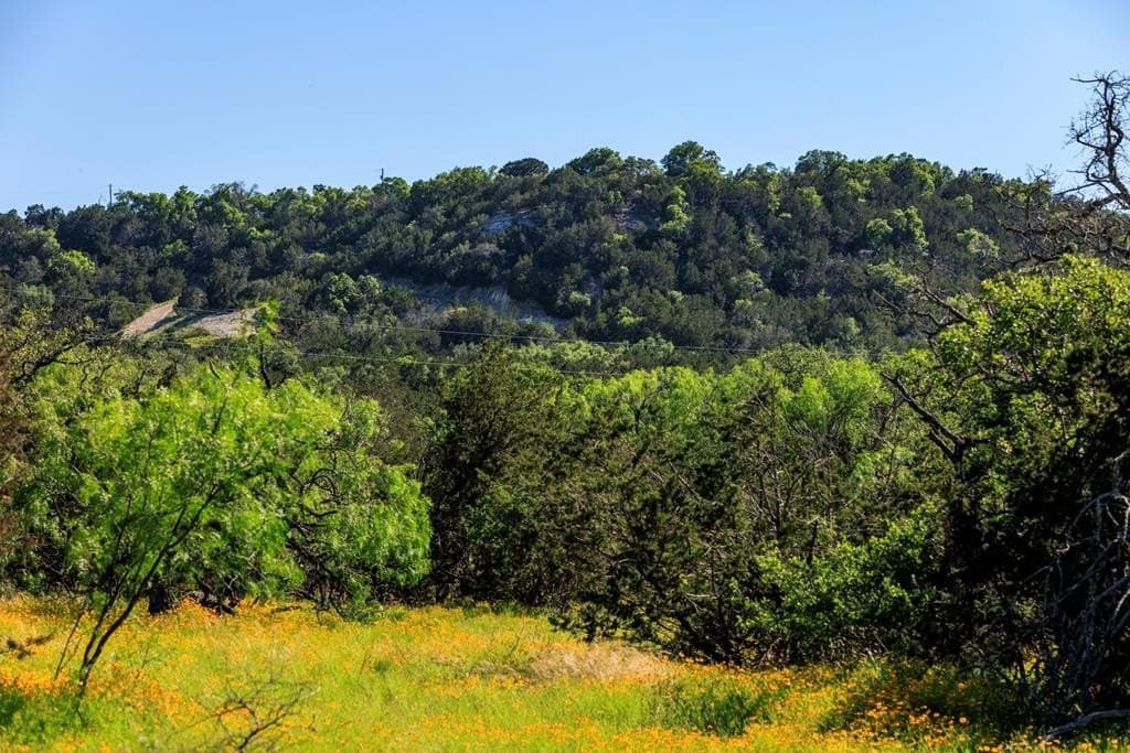 115.92 acres in Gillespie County - photo 43