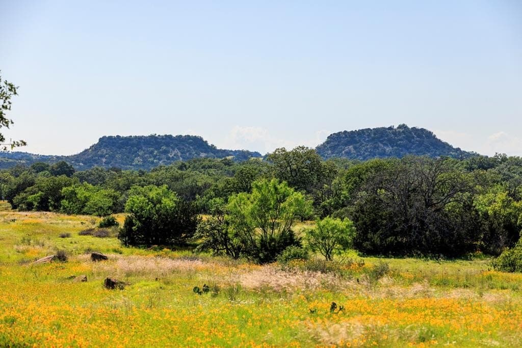 115.92 acres in Gillespie County - photo 42