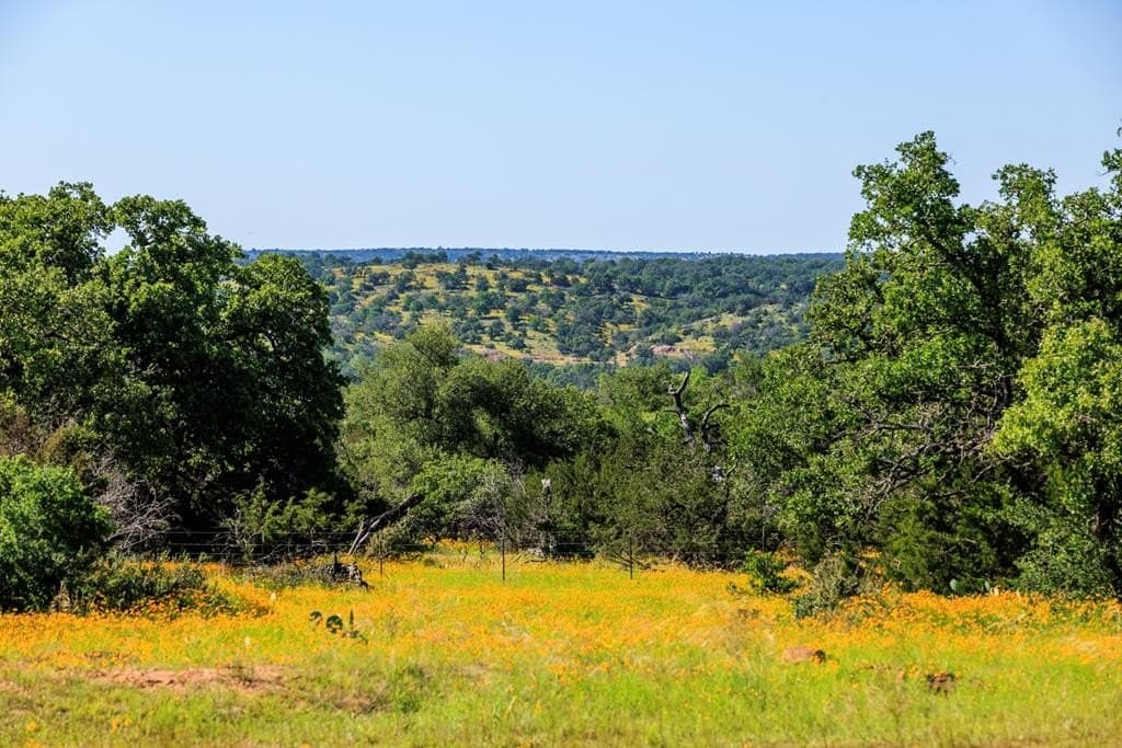 115.92 acres in Gillespie County - photo 40