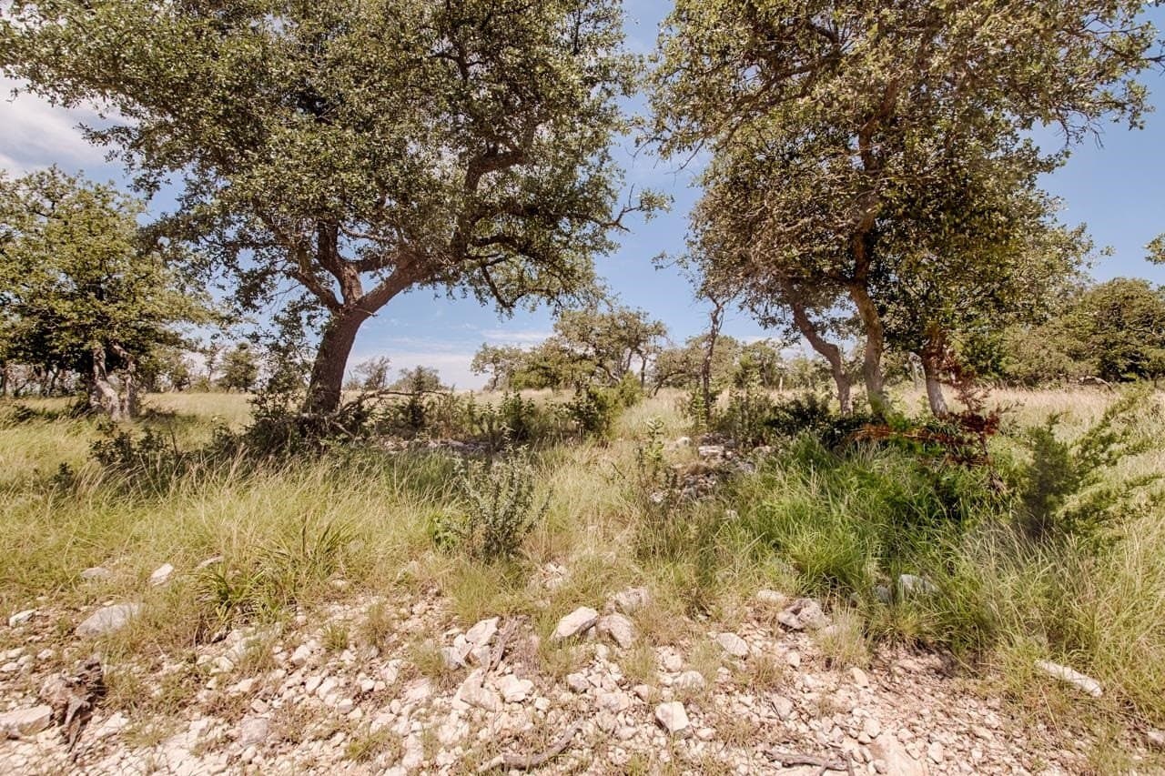 5.73 acres in Gillespie County gallery image 3