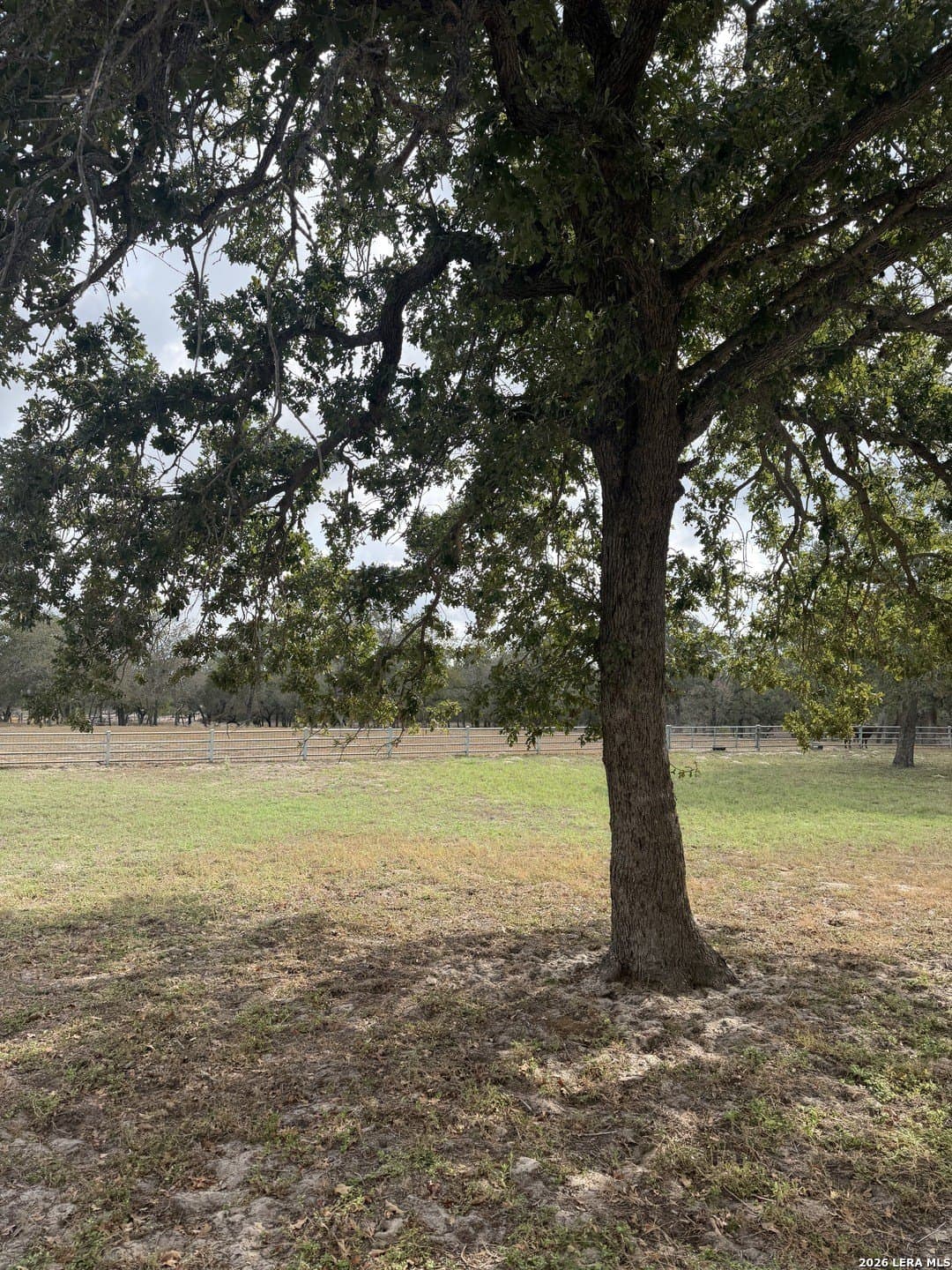 12.16 acres in Wilson County - photo 21
