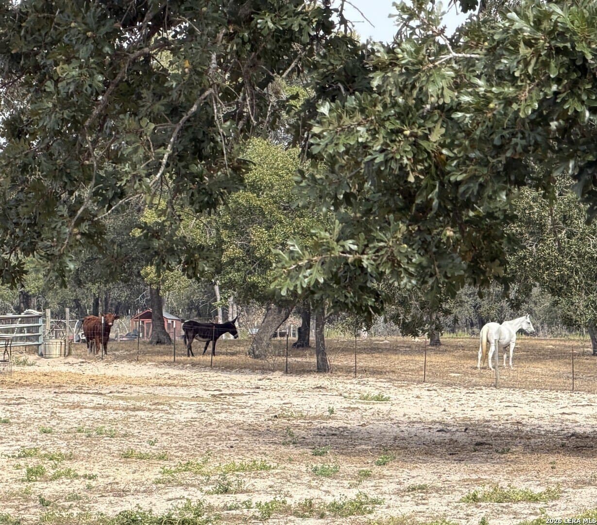 12.16 acres in Wilson County - photo 12