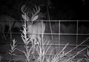 151 acres in Montague County - photo 15