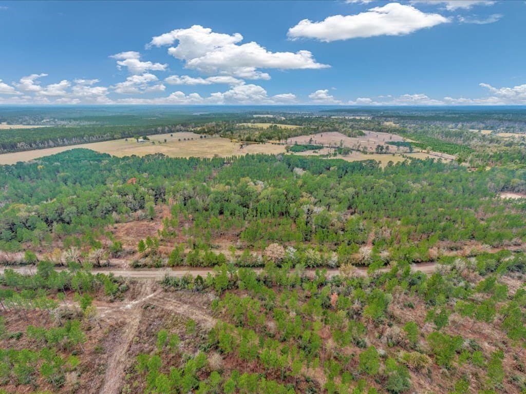 30 acres in Texas County - photo 22