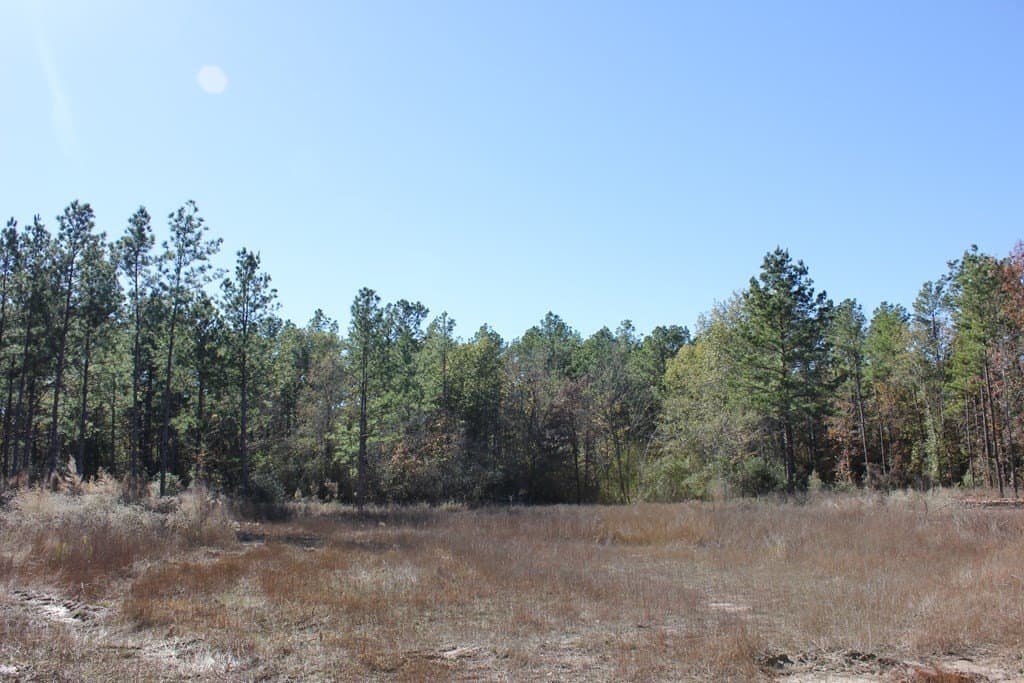 30 acres in Texas County - photo 15