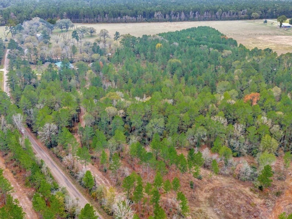 30 acres in Texas County - photo 19