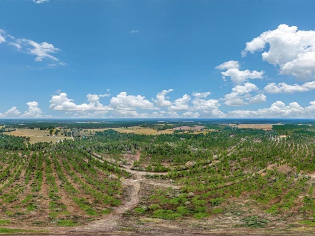 30 acres in Texas County - photo 21