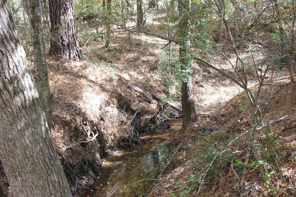 30 acres in Texas County - photo 4